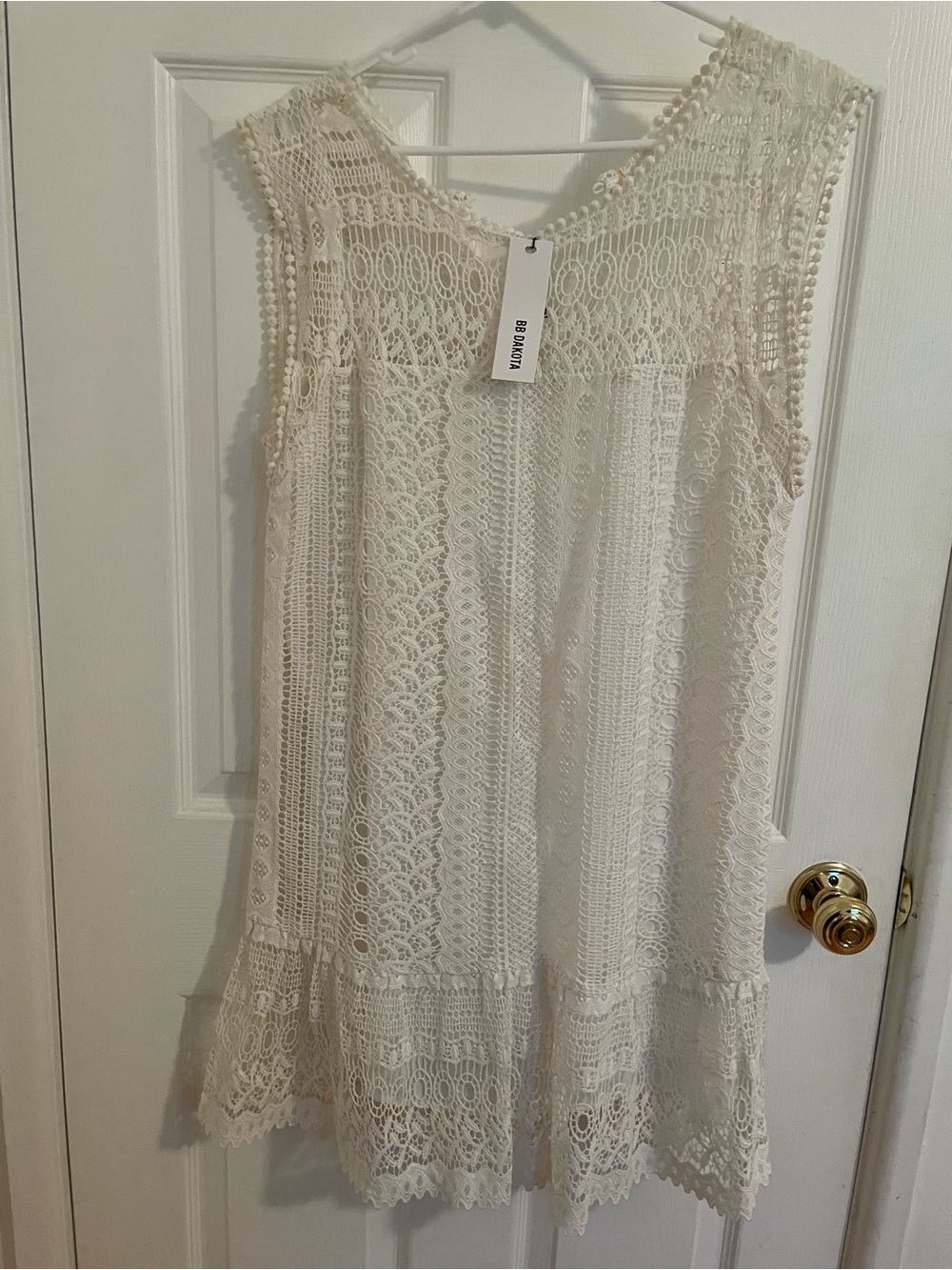 BB Dakota Ivory Crochet Lace Mini Dress